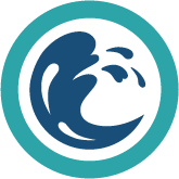 Buzz Pool Construction